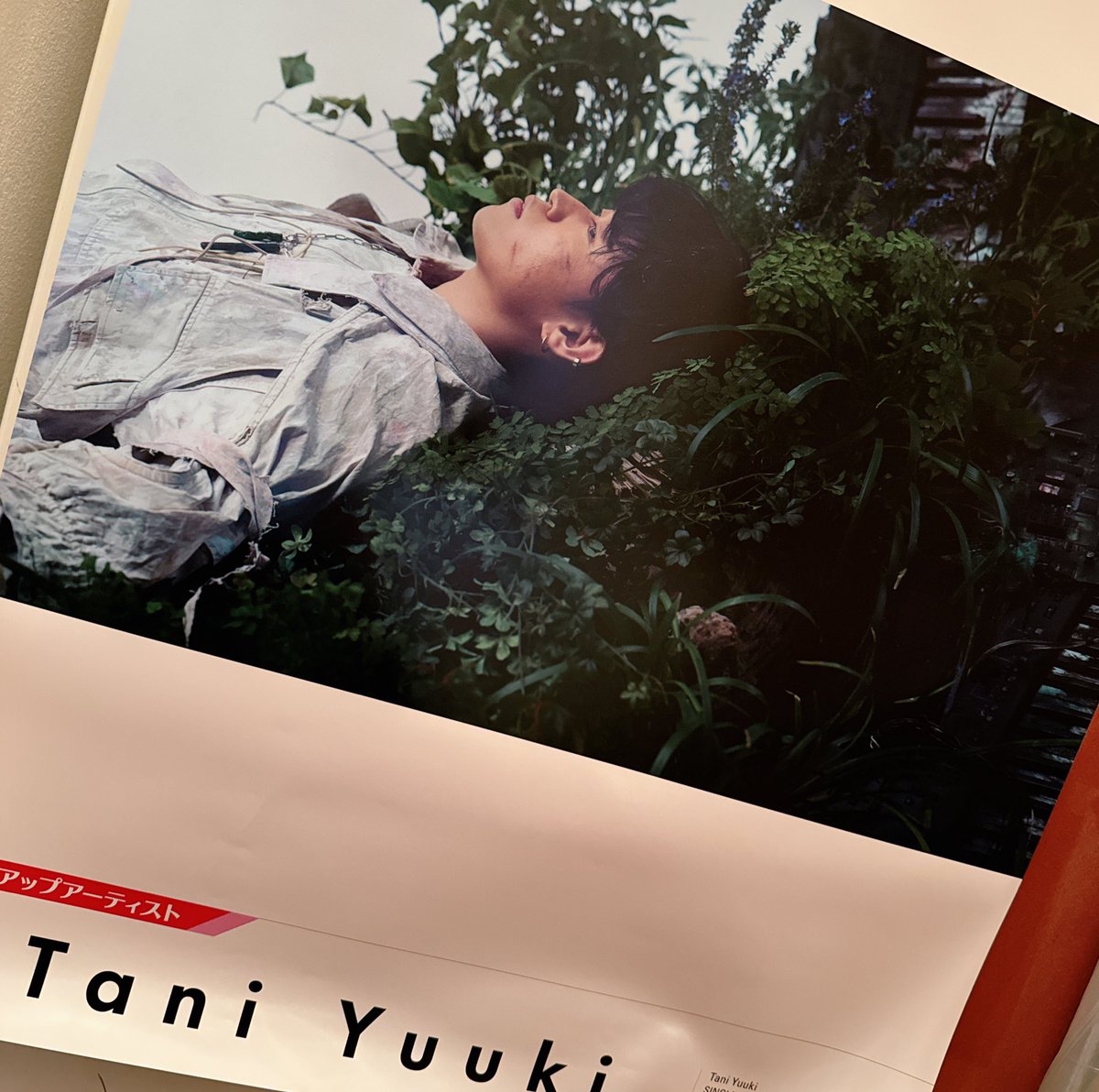 やっぱりあけたらTaniくんのポスターでしたーーー⊂( ᴖ ̫ᴖ