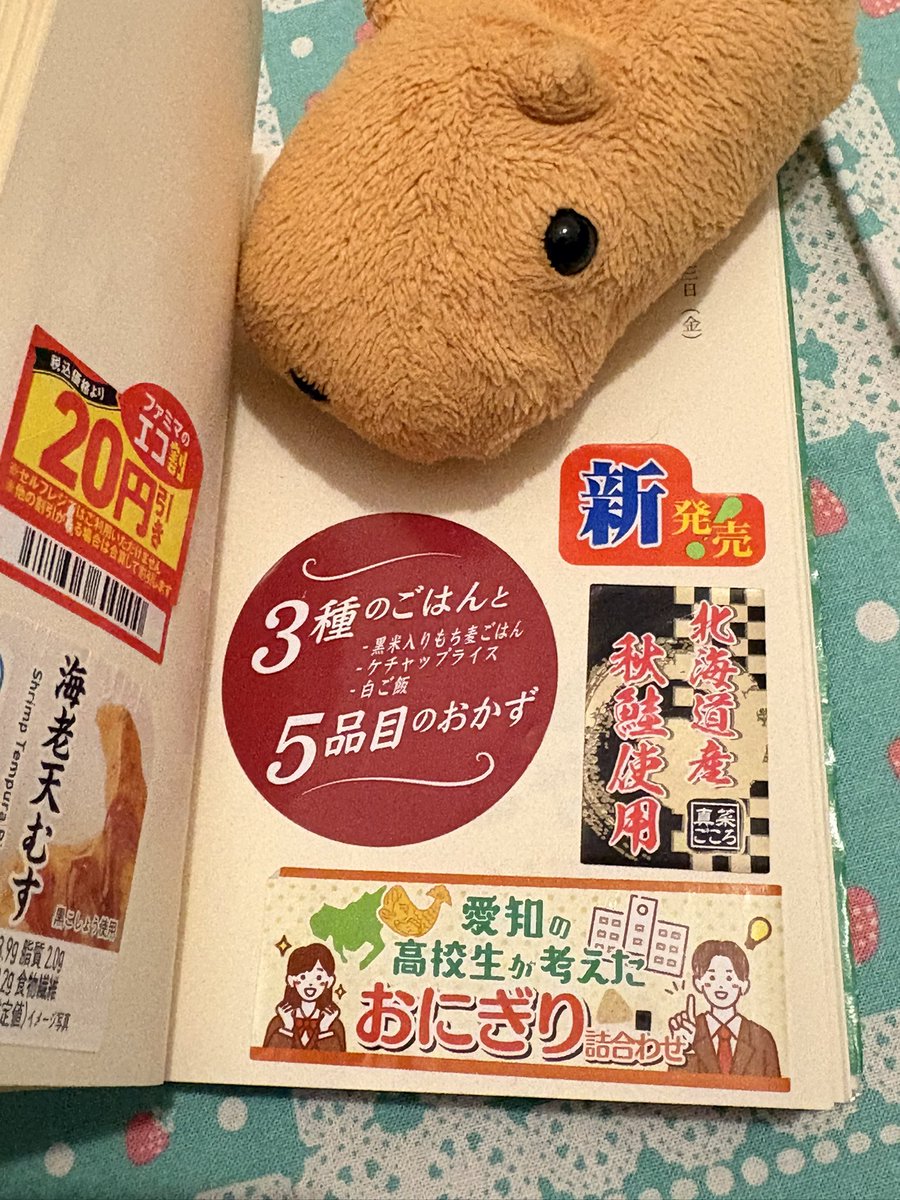 カピバラさんマイブック