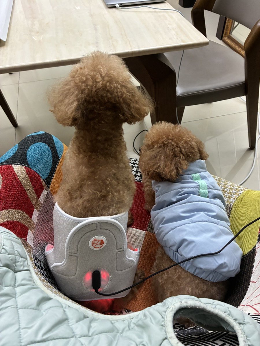 Benson Sun tweet media