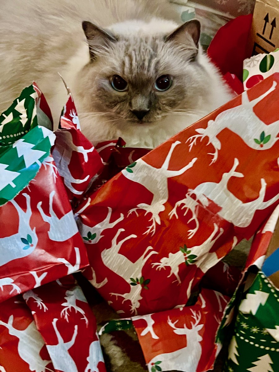 Nancy Stone tweet media