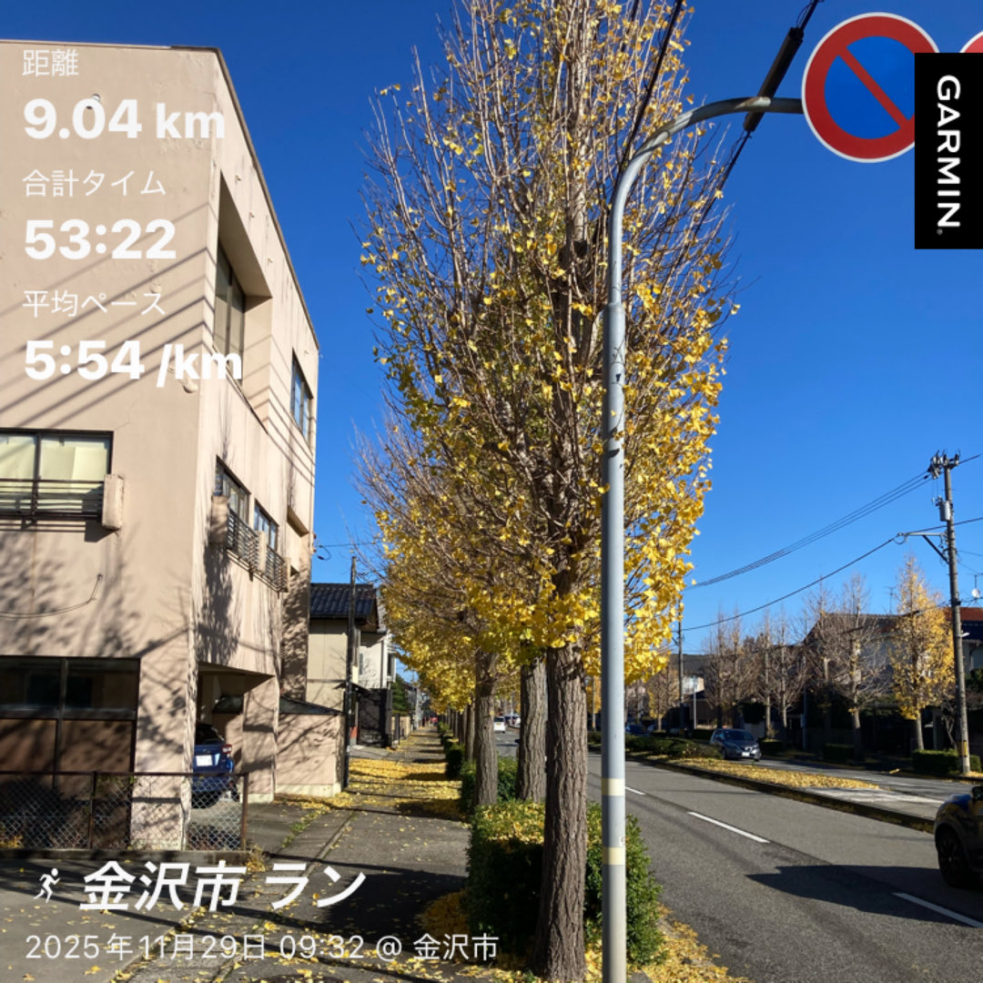 jogginist's tweet photo. 11/27〜12/10ラン記録
ランサボりがちで11月の走行距離は77km、12月は今日が初ラン
寒い日でも走ると汗だく＆湯気まみれ
久々ランでかなり疲れたけどリフレッシュできて良かった👍 https://t.co/GWLGfKx18W