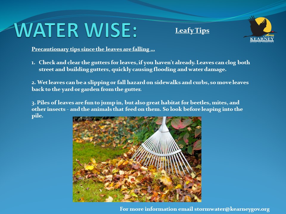 KearneySWMP's tweet image. Leafy Tips for Autumn! Visit nebraskah2o.org 4more. @CityofKearney @BuffaloCoExt @NebrWaterCenter @UNLExtension @1340KGFW @NTVNEWS @989TheVibeFM @KSNBLocal4 @StormwaterONE @OmahaStormwater @NebraskaNRDs @NeFSMA @WEForg @KearneyHub
