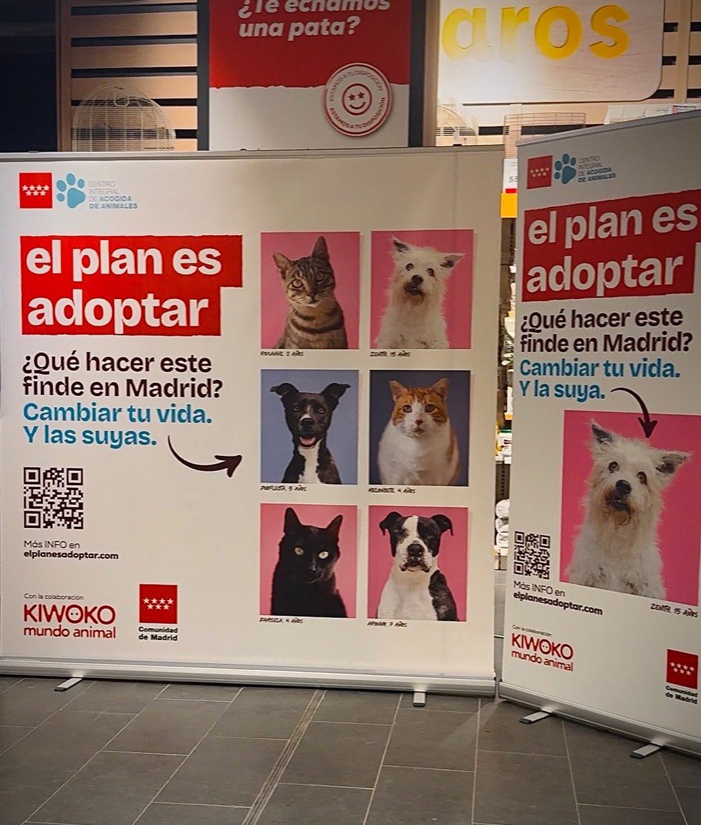 AlcorconBAnimal's tweet photo. Hoy, Día Internacional del #DerechoAnimal, nos sumamos a la campaña: “El Plan es Adoptar ❤️”

El #CIPAlcorcón abre sus puertas para que puedas conocer las vidas que esperan un hogar.

🗓️ 13, 14, 20 y 21 diciembre.
📍 C. Polvoranca s/n esquina, C. Industrias.

¡Os esperamos! 🐾 https://t.co/C1LIUJjyah