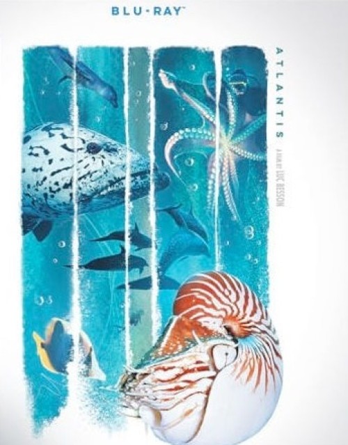 "Atlantis - Blu-ray Review"

avnirvana.com/threads/atlant…
with final stretch of the massive "Luc Besson Collection" we get the French director's one and only Documentary for the first time!

<a href="/SonyPictures/">Sony Pictures</a> #review #reviews <a href="/RalphAVSreviews/">Ralph Potts</a> <a href="/BrightSideHT/">🍿Bright Side Home Theater🍿</a> <a href="/AV_NIRVANA/">AV NIRVANA</a> #bluray #documentary