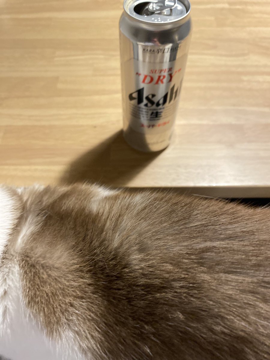 めろ様 (@_A_Z_S_) / Posts / X