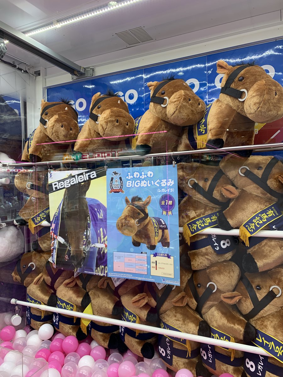 景品入荷9 サラブレッドコレクションふわふわBIG（レガレイラ