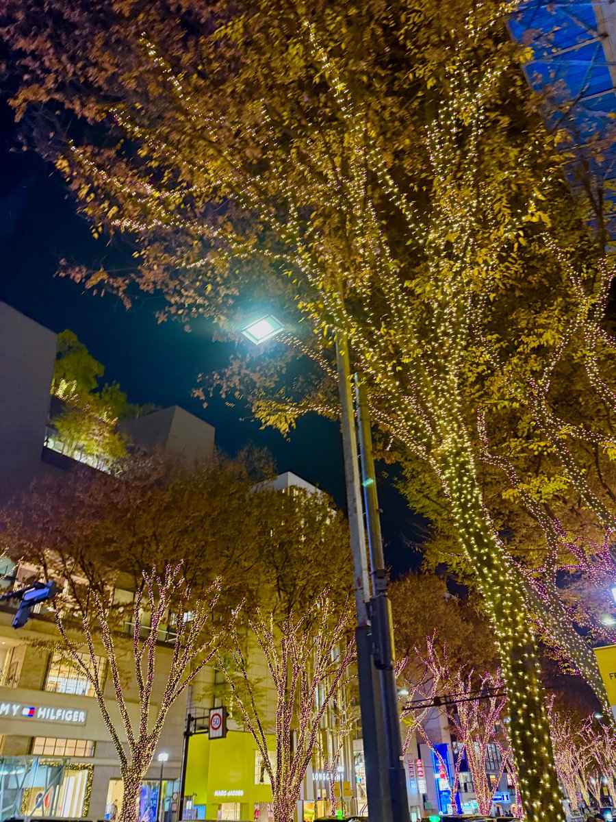 みんと (@6MintniM6) / Posts / X