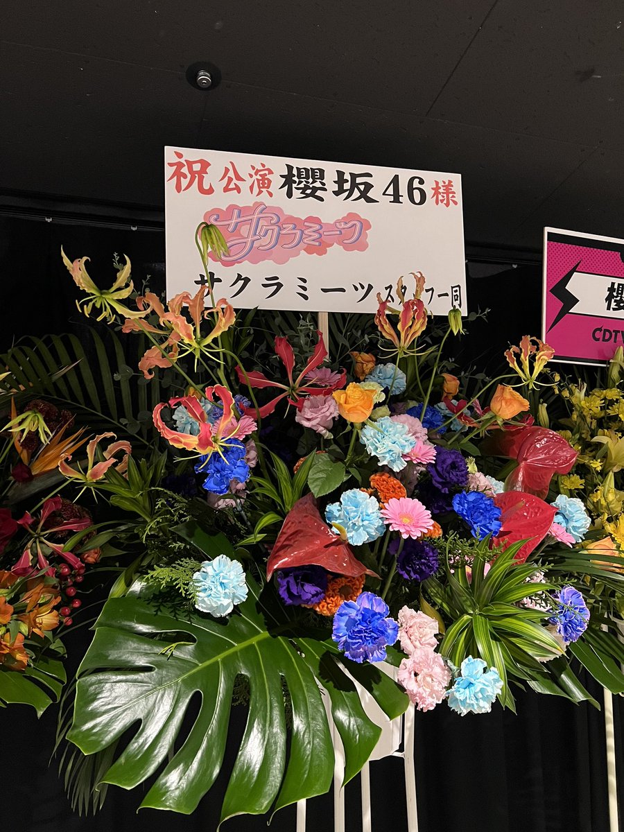 🌸ザグラ🌸 (@sakami_keyaki) / Posts / X