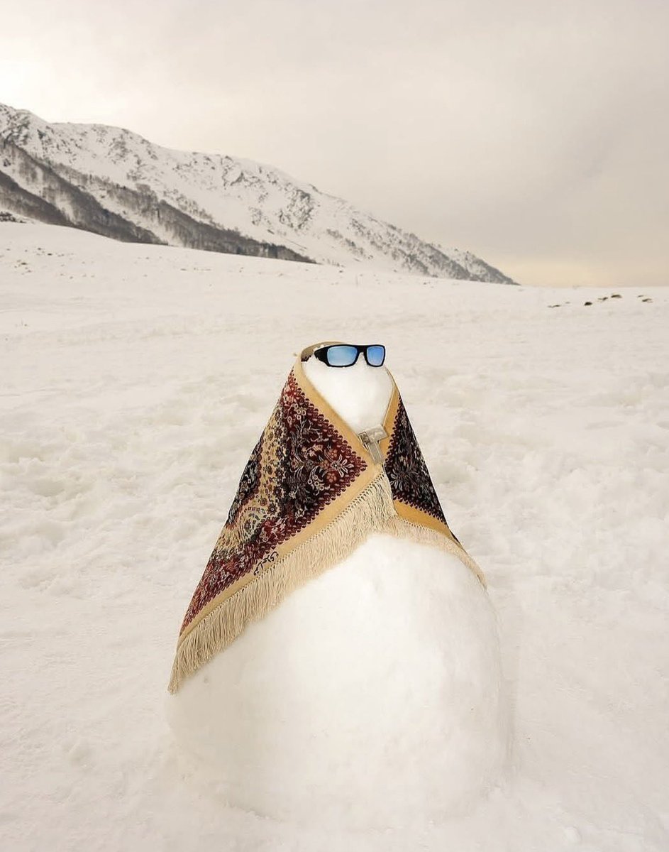 jaipur rugs in the snow at highlands park shot by ashish shah