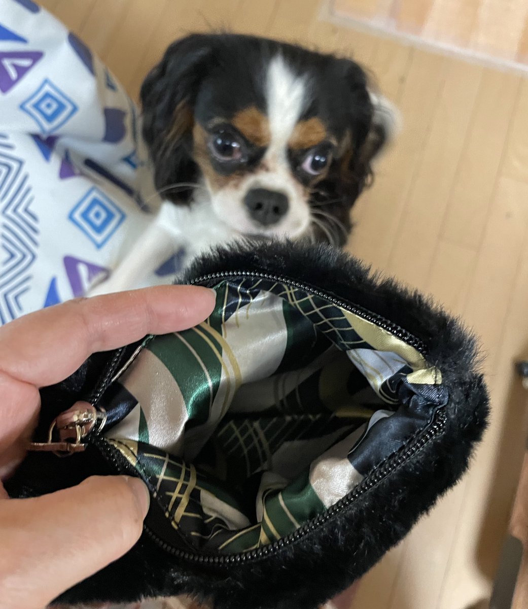 気を取り直して。 先日の松本零士展で購入したもの達。車掌さんの