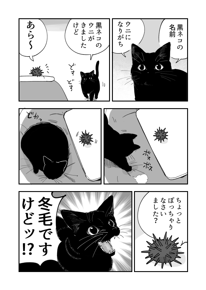 くま子 (@kuma8j) / Posts / X