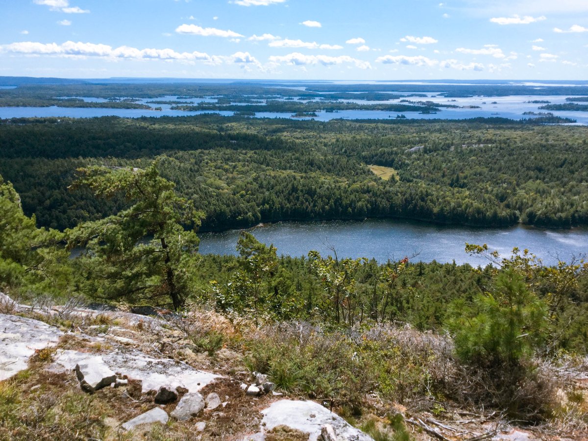 ButlerPhotos's tweet image. 'The view from Mount Ararat of Florence Lake and The Bay of Islands'  by JonButler.ca  A meditative three minutes…. 'The Surreal Earth' reflects on perception. Photomontage by Jon Butler  Music by Steve Raizen aka Frozen Lonesome youtu.be/cnHiHCAprQg?si…