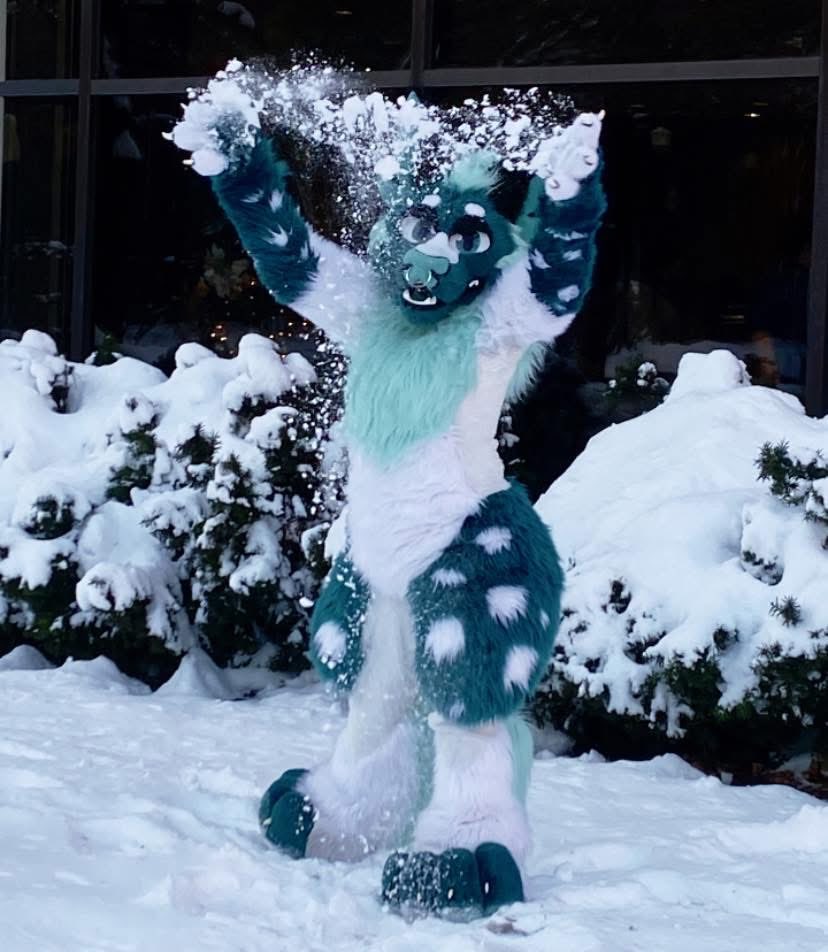 Let it Snow Let it Snow Let it Snow!! #fursuit #fursuiter #fursuiting