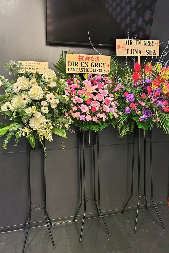 らいむ⛩🦊🦊 (@_s2raimu) / Posts / X