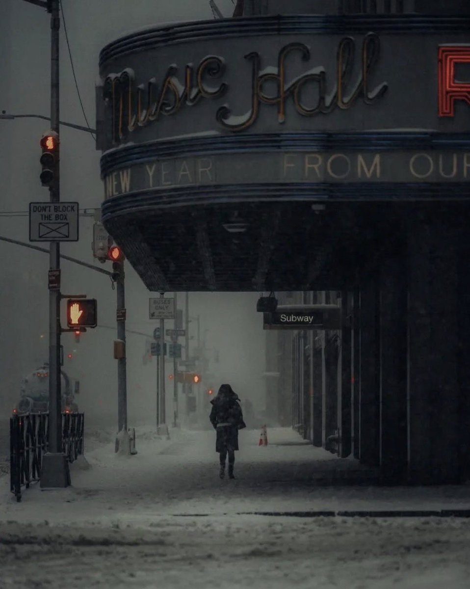 Snowstorm in NYC 📸
By: jose carilla