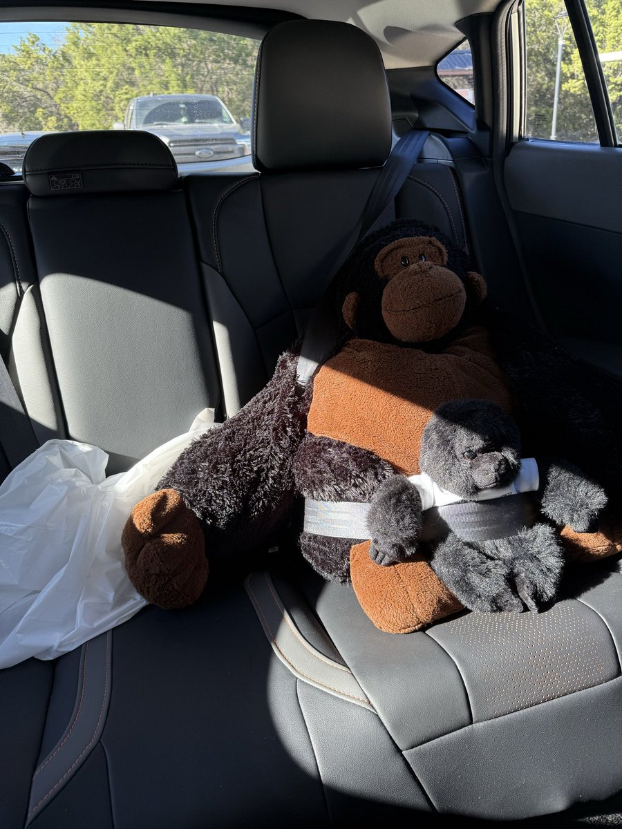 lydiaklehman's tweet photo. Gregory update… I gave him a friend https://t.co/aVZ1QDdHl8