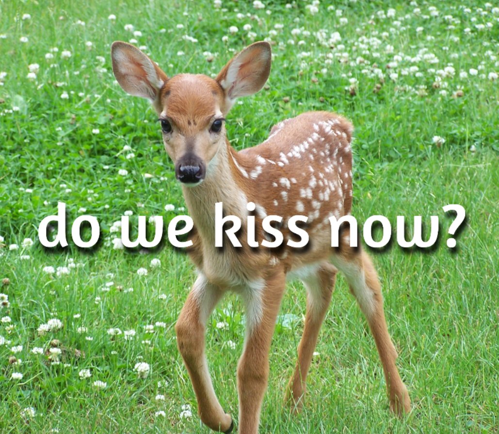 transgendeer (@ciervatonta) on Twitter photo 