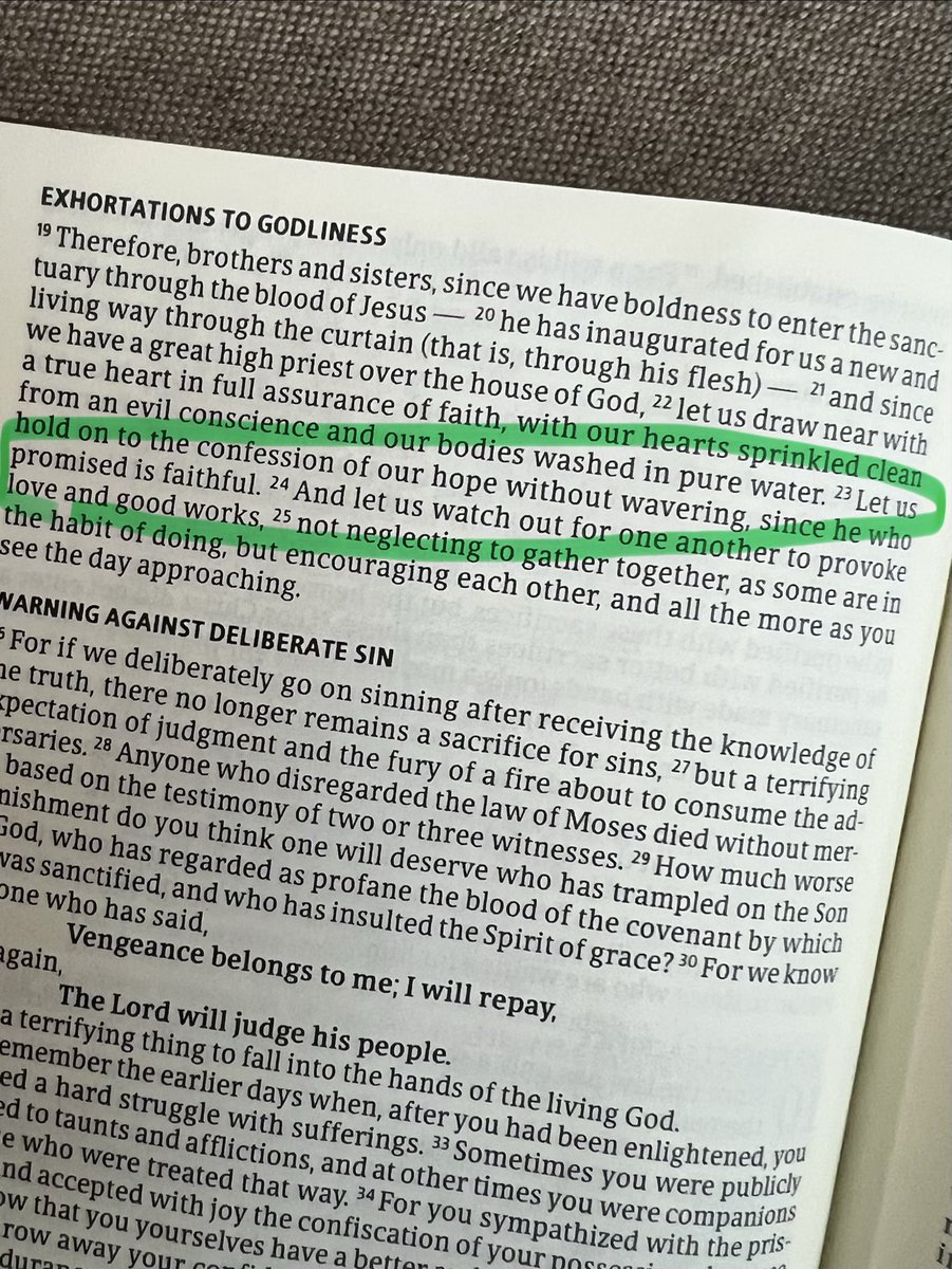 From my morning reading: “Let us hold on to the confession of our hope without wavering, since he who promised is faithful.” — Hebrews 10:23