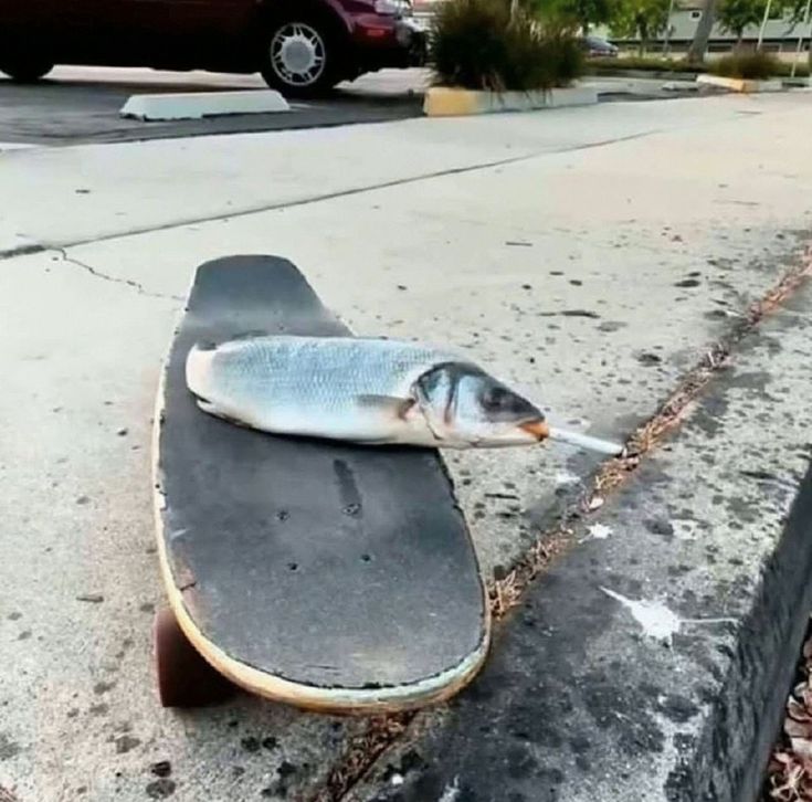 What kind of things do I need to post to get an audience?