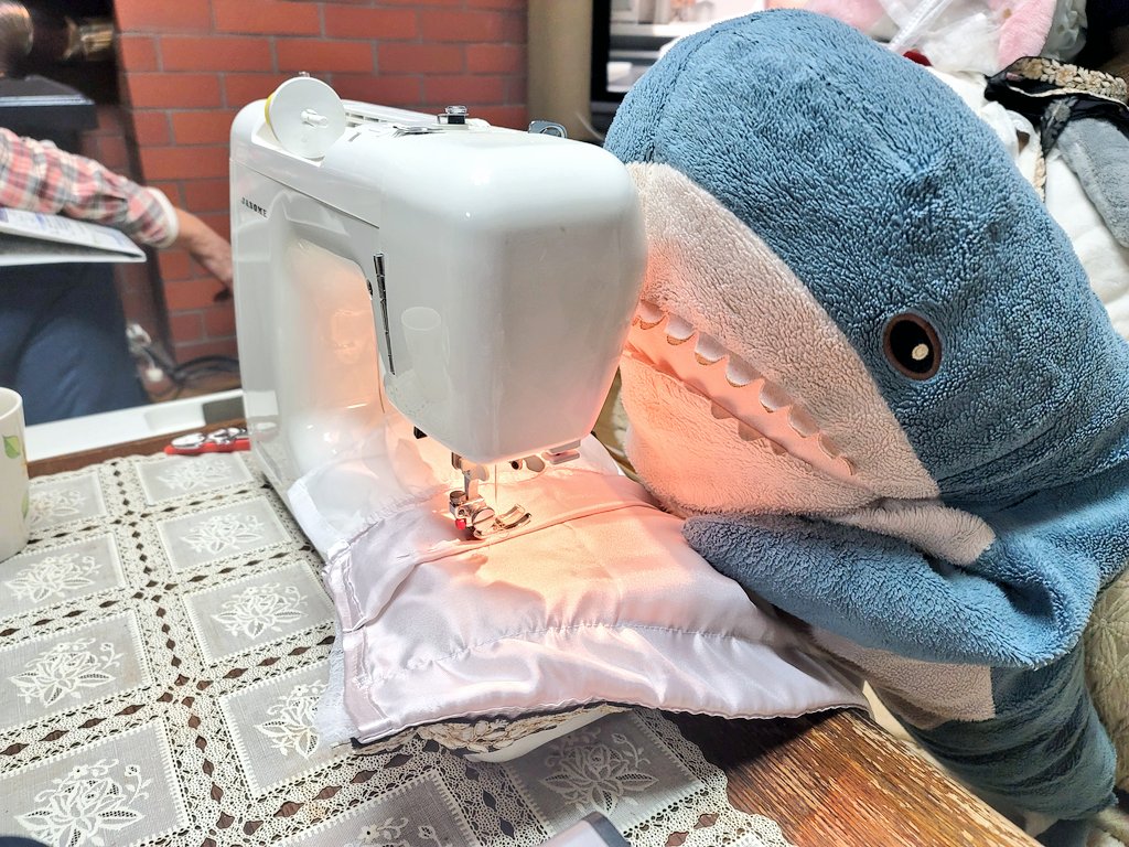 真剣シバちゃん楽しそう