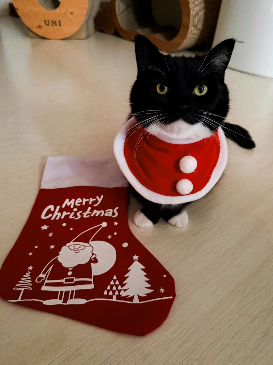 かっちゃん∞ (@katsu_uw_crew) / Posts / X