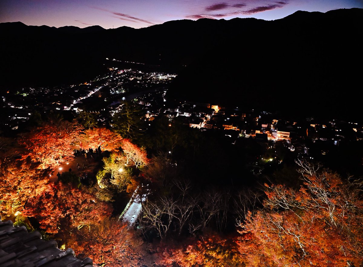 CirquedeK's tweet photo. 郡上八幡城から見た夜景と紅葉が綺麗だった。 https://t.co/wPyAaaWksW