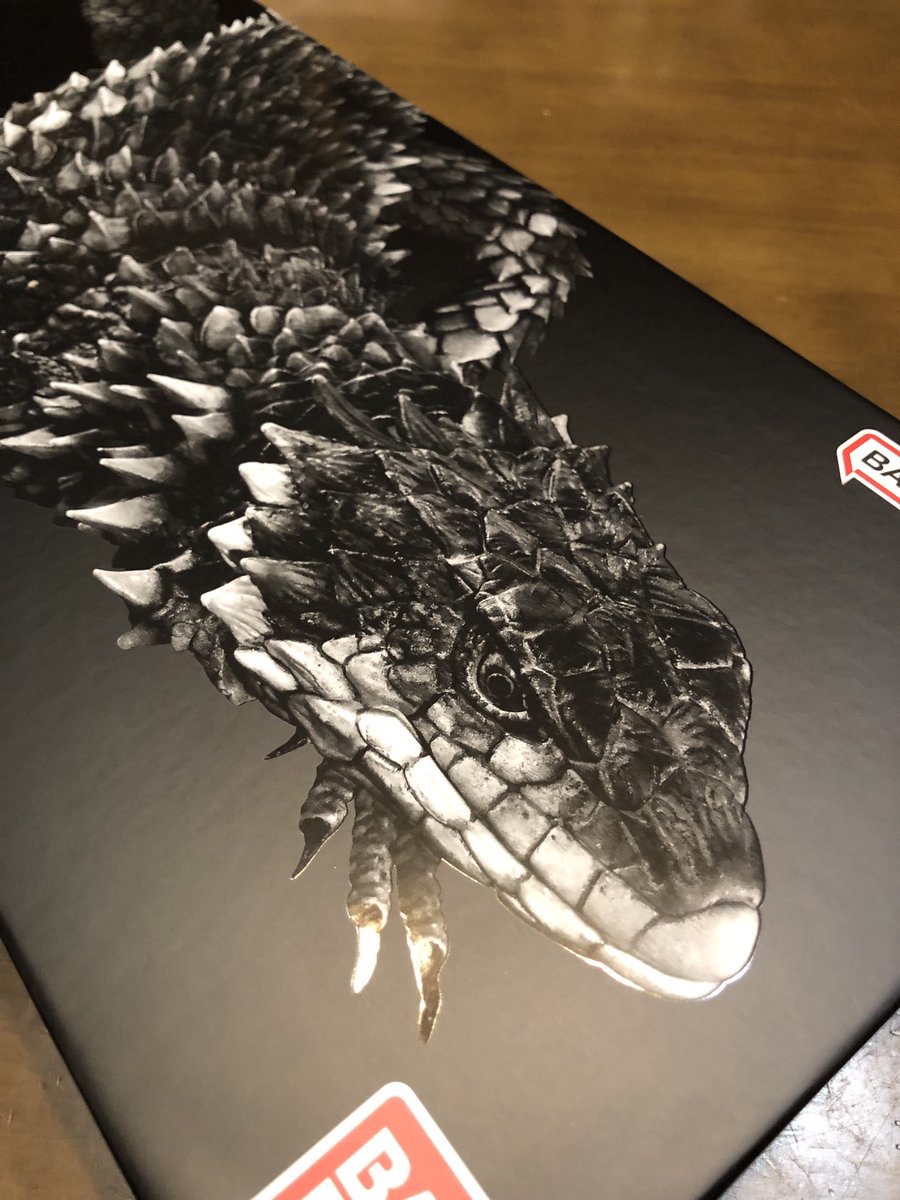 AlpacaOkinawa's tweet photo. 凄いものが届いた。
これは２万の価値ありますわ…。

オオヨロイトカゲかっこよすぎる。
長かったけど、このプロジェクトに関われて光栄です。 https://t.co/JxQRtFhPjE