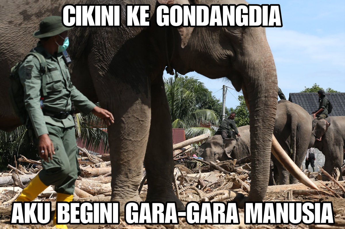 plisitin's tweet image. 