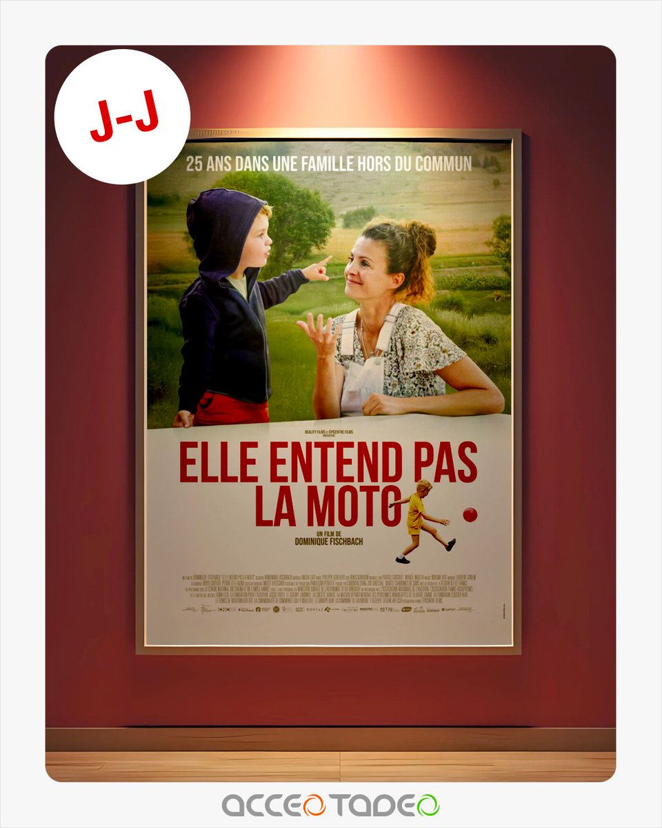 AcceoTadeo tweet media