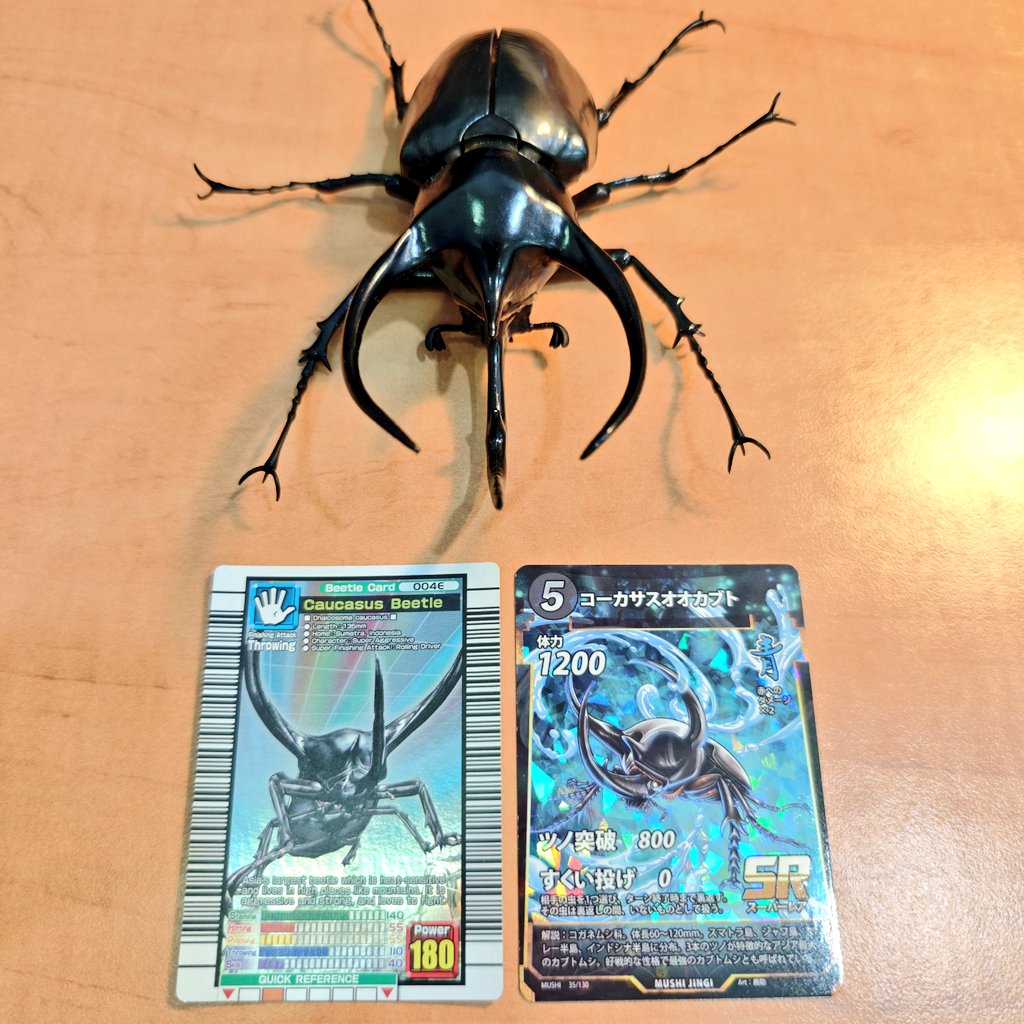 甲虫王者ムシキング X 蟲神器 - コーカサスオオカブト #ムシキング #蟲