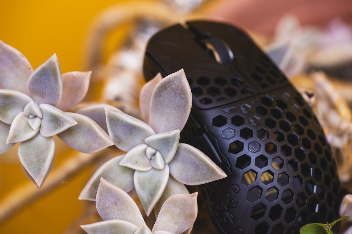 swift_reviews's tweet image. UNIUS Black Lotus 🦋
Thank you @lethaldotgg!