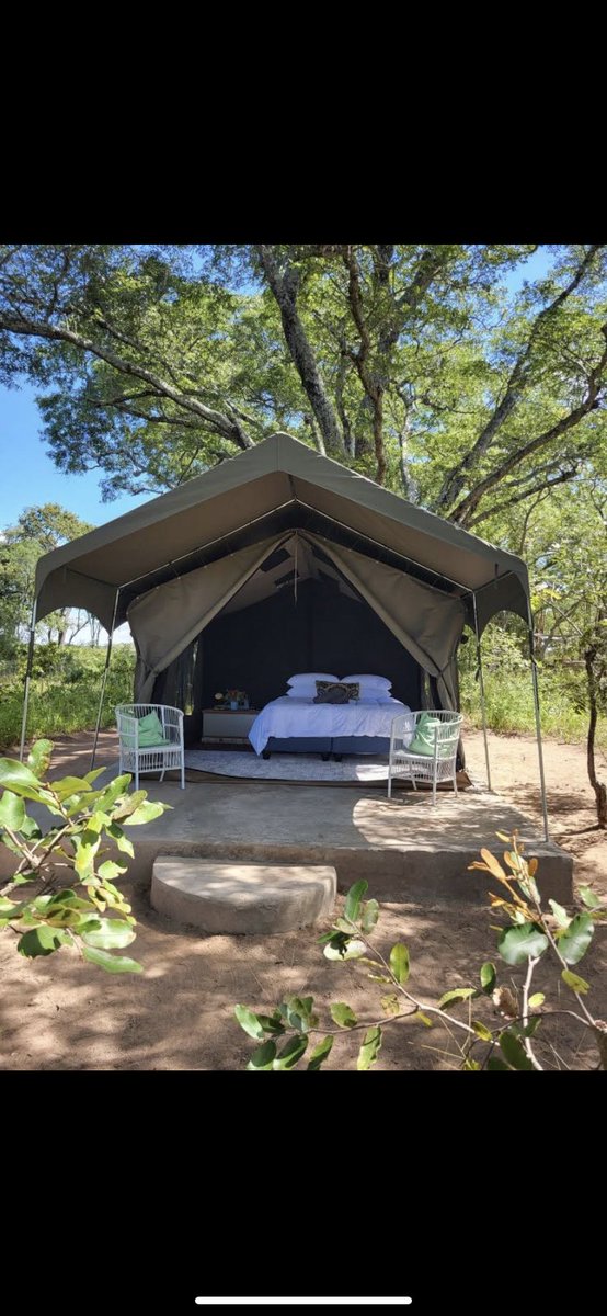 StoneZimTravel's tweet photo. USD155/night — Bush Escape Activated 🌿🔥

Self-catering • Food packages available at a supplementary rate
If you need a break from people, the bush is taking bookings 

📞 +263 7 75673326
📩 bookings@stonezimtravel.co.zw

 #Travel #BushEscape #ZimbabweTravel #SavannaCamp #Kana https://t.co/f19WEDnRPH