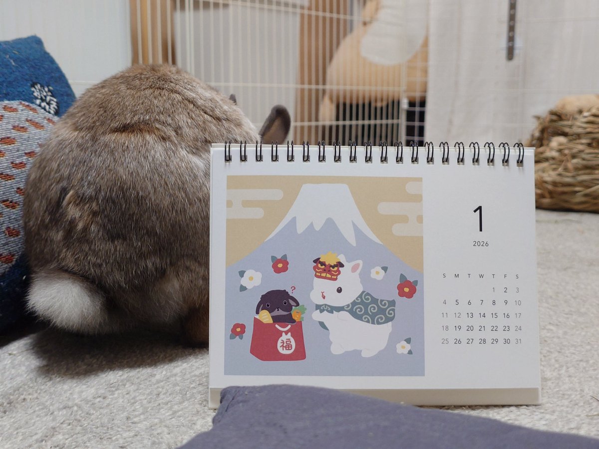 SUZURI公式忍者 忍者スリスリくん (@suzurijp) / Posts and Replies / X