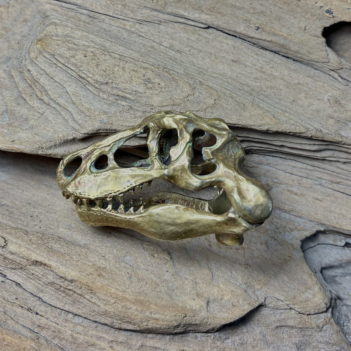 ECにはまだ載せないお品書き

恐竜の頭骨　Tレックス　
の真鍮バージョン

¥16000

#クリマ　#クリマ53