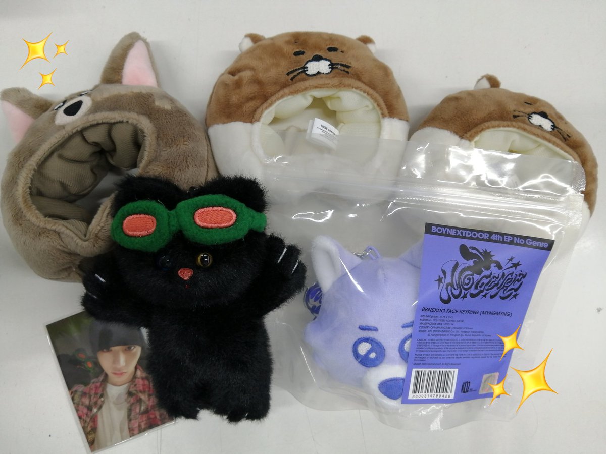 🚪 #BOYNEXTDOOR 🚪 BOYNEXTDOOR BBNEXDO ペンライトカバー