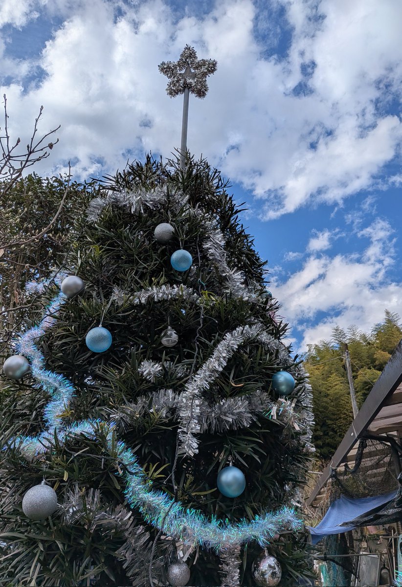 亜矢クリスマスツリー Alsace 150cm クリスマスツリー