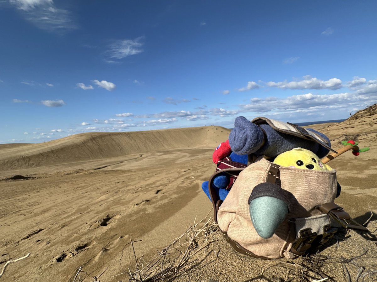 FIESTA＠既刊通販中 (@blindflight) / Posts / X