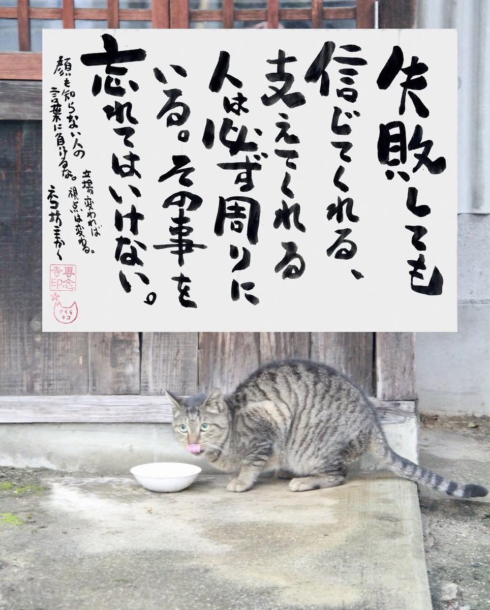 yabumoto610's tweet image. ネコさんから人間さんへ今日の一言