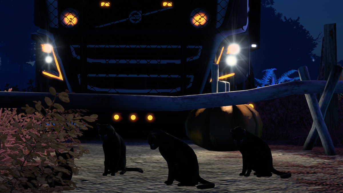 ad204045's tweet photo. #EuroTruckSimulator2
#ETS2
#VolvoTrucks
#WitchesOfBrackenreach https://t.co/LkJc9Xva7n
