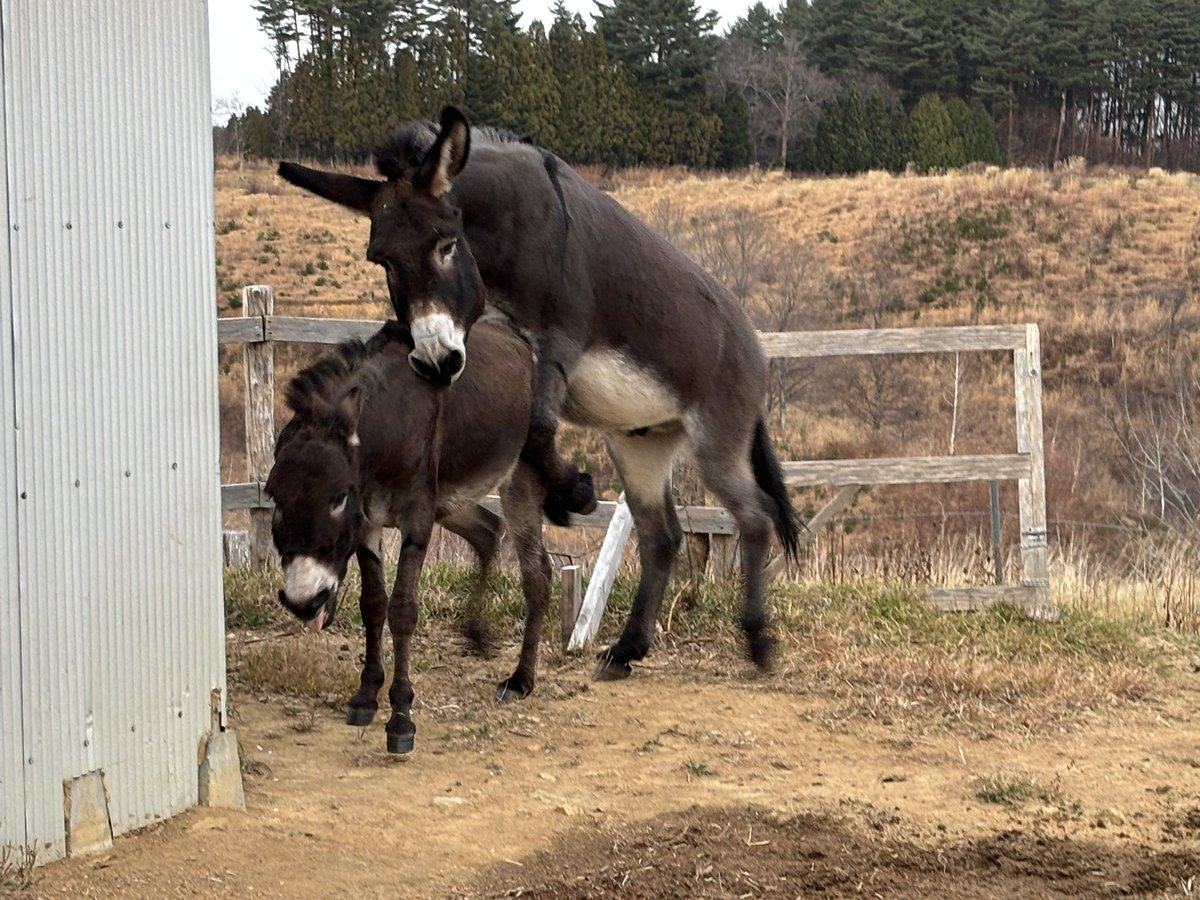 taromar_u's tweet image. ポッキー君と一年半ぶりの再会。