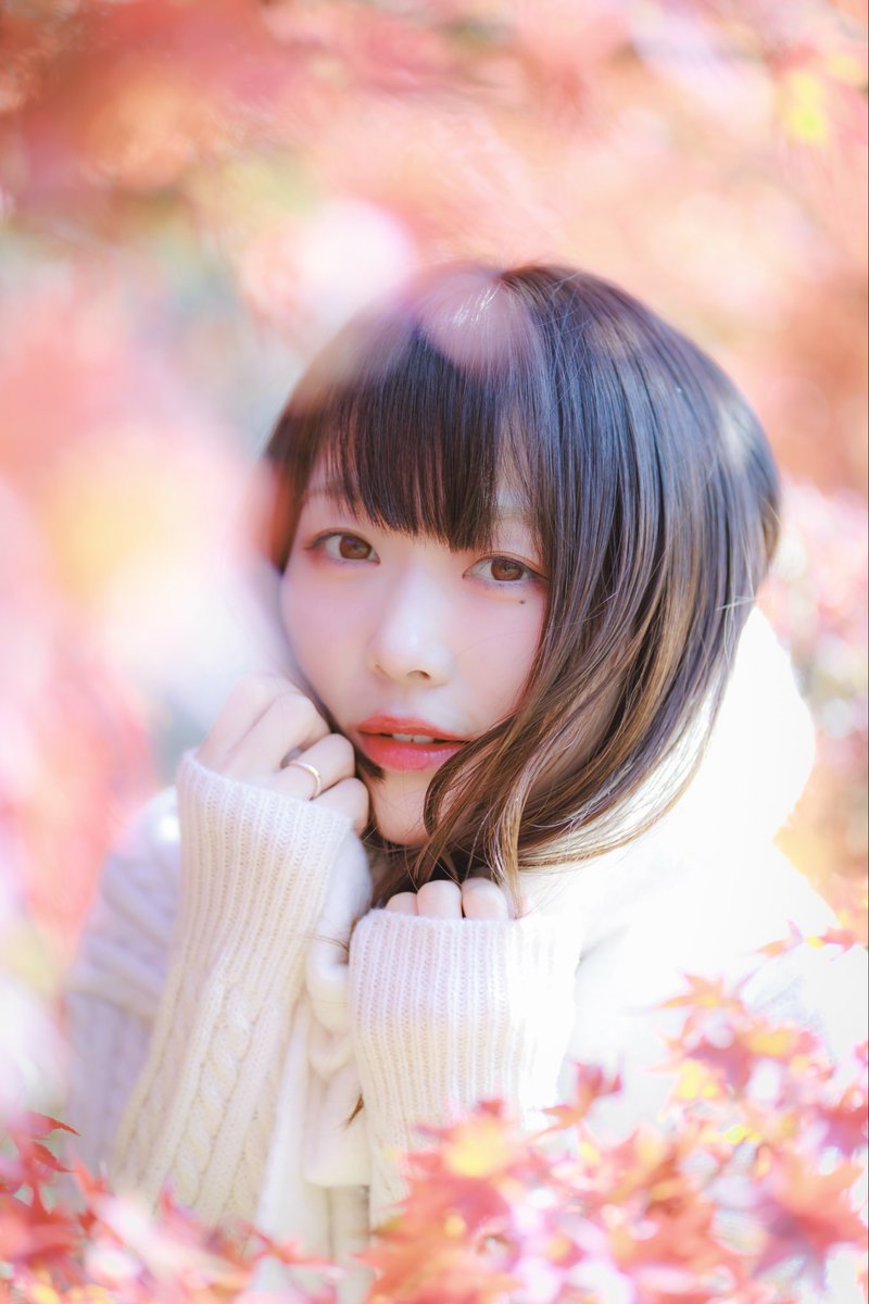 ハクシ tweet media