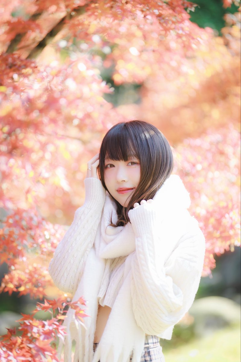 ハクシ tweet media