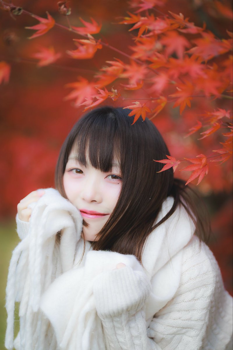 ハクシ tweet media