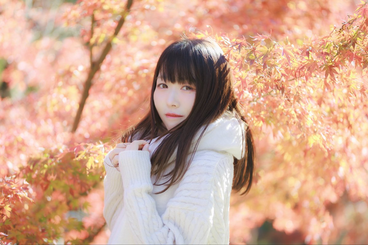 ハクシ tweet media