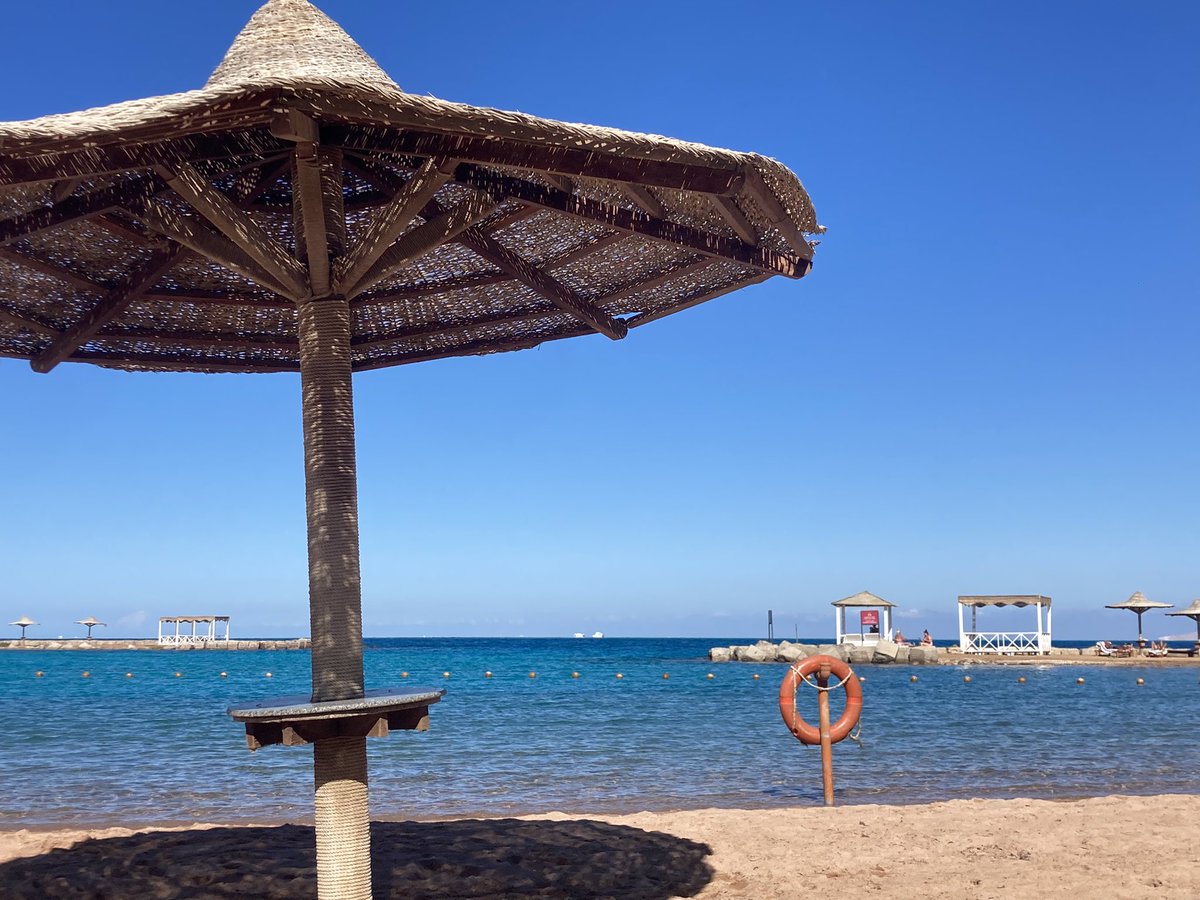 HiphopApΞ tweet media