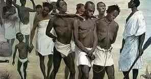 مصطفي سعيد tweet media