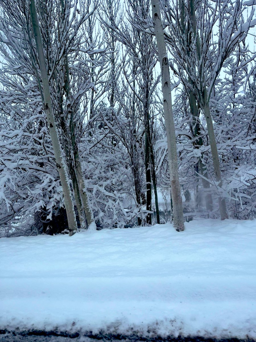 今年は珍しく雪があまり降らない
暖冬だと思っていたら…
そんなことなかった

#キルギス