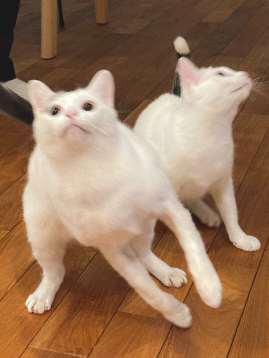 🦦眇眼🦦 (@1954love_hate_) / Posts / X