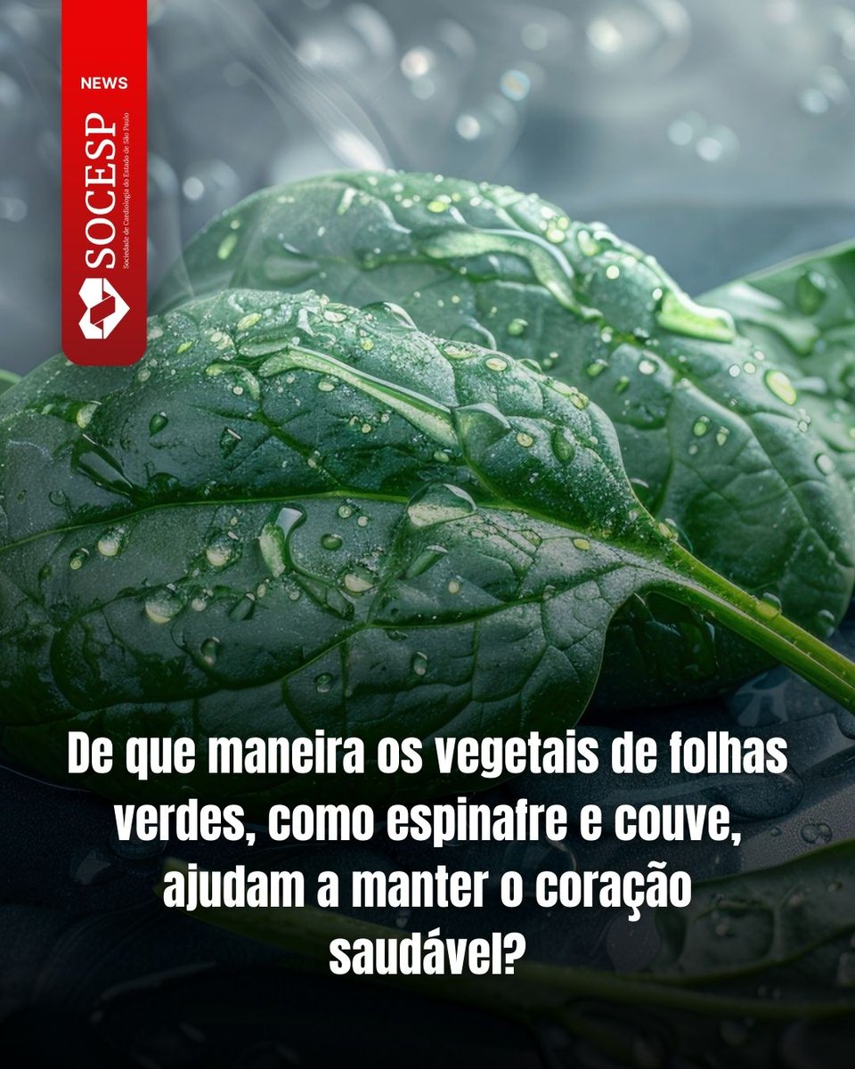 SocCardioESP's tweet photo. Ricas em potássio e nitratos, ajudam a ‘controlar’ a pressão e melhoram a função endotelial. Vale ressaltar que nenhum alimento substitui a terapia medicamentosa do paciente.
Saiba mais: https://t.co/DzKVQhcPkS
#nutrição #alimentação #saudável #vivabem #vivamais https://t.co/8bmiw7JmLL