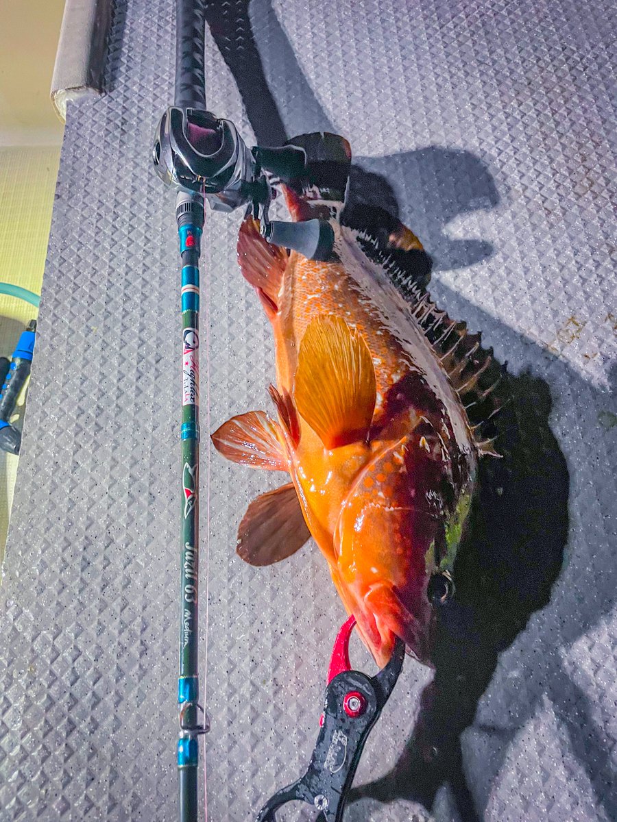 Tulala公式アカウント (@tulalajp) / Posts / X